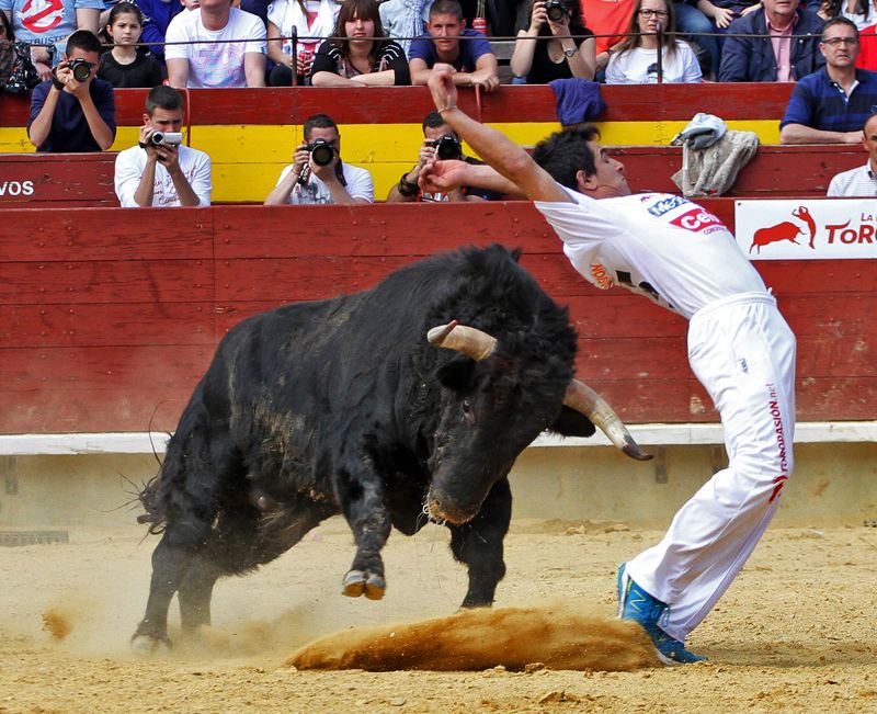 La Semifinal Del Campeonato De España De Recortadores Cierra Los ...