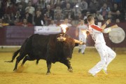 El concurso de recortadores con toros de fuego cerrará la feria y contará con los temidos toros de Palha.