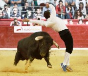El Campeonato de España es la prueba más importante del toreo a cuerpo limpio. Foto: Alberto Barrios.