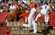 Los toros de Arriazu asombran por la espectacularidad de sus actuaciones. Foto: E. del Campo.