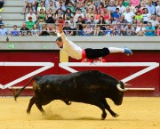 El logroñés Sergio Urruticoechea realizando un salto del ángel ante un espectacular toro. Foto: Eduardo del Campo.