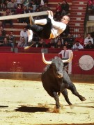 La arriesgada suerte del balancín se llevará a cabo frente a un toro. Foto: Blas Pardo.