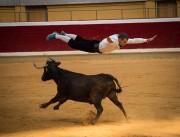 Los recortadores riojanos demostrarán sus cualidades en una competición frente a 3 vacas de Toropasión.