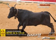 La conocida vaca Norteña de La Paloma será embolada a fuego, por primera vez, para la gran final. Foto: Álvaro Marín.