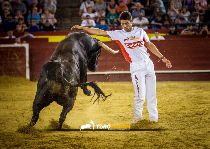 El vencedor de Castellón y Valencia, José Manuel González "Poca" deleitará a los aficionados con sus quiebros.