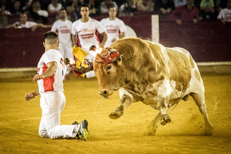 Cristian Cortijo ejecutando un espectacular quiebro de rodillas en la edición de 2016