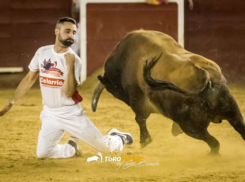 Rampeta Se Llev El Gato Al Agua En La Eliminatoria Del Campeonato De