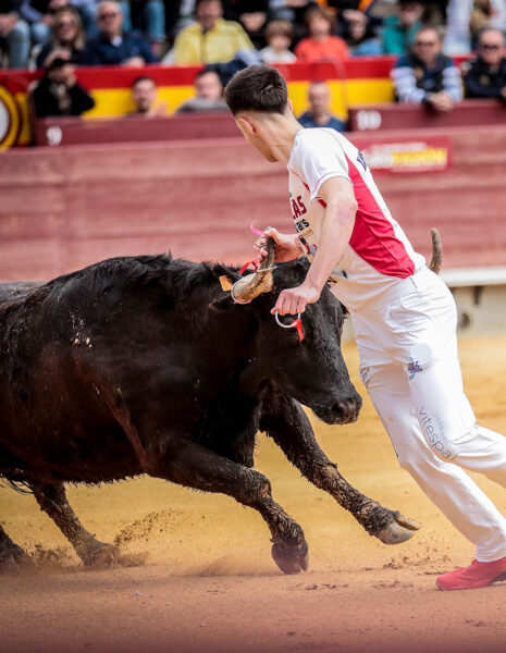 Los mejores anilleros del momento pondrán la emoción ante las serias vacas.