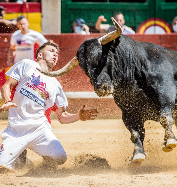 Los maestros de la calle son una garantía de éxito. En imagen, Javi Hernándiz, campeón de España 2022.