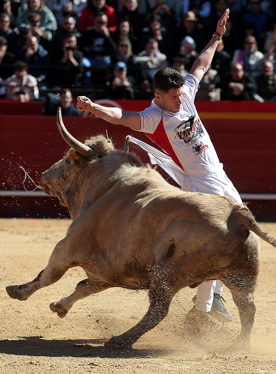 Valencia y Castellón contarán con los mejores recortadores de nuestro país. Foto: Turismo Taurino.