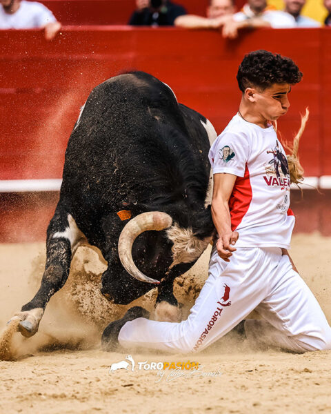 Mateo Martínez emocionó al público con una actuación llena de raza.