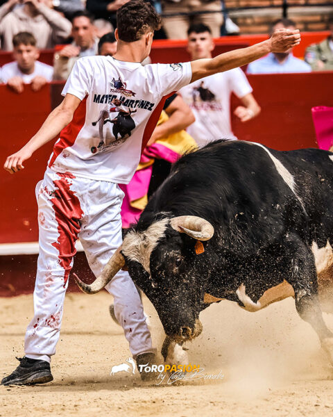 Con la cornada el madrileño permaneció en el ruedo y se llevó la victoria.