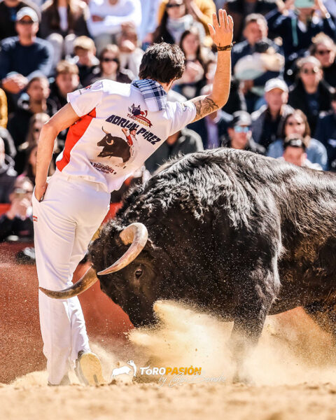 Adrián Pérez, Campeón de Magdalena 2026.