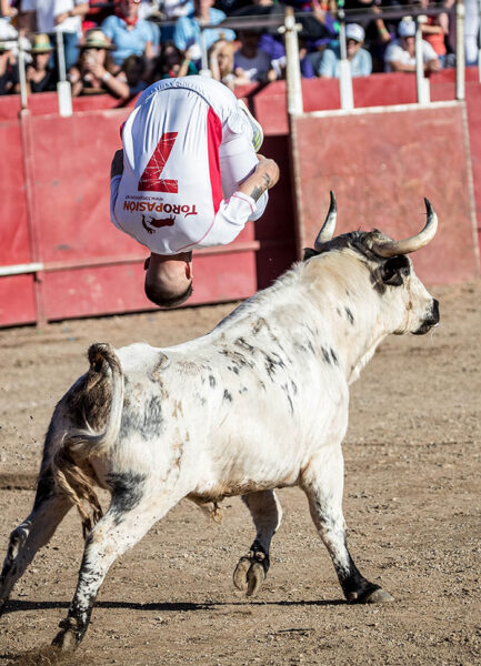 Emoción y espectáculo con los mejores recortadores del panorama nacional.