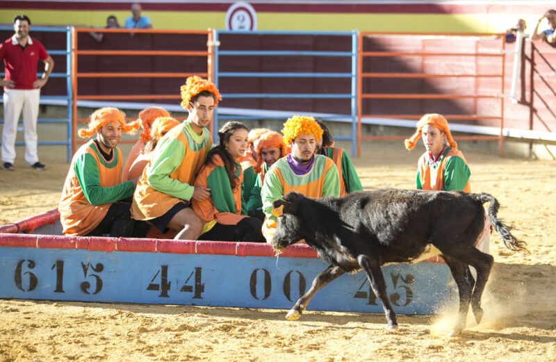 Diversión asegurada con el Súper Gran Prix Toropasión.