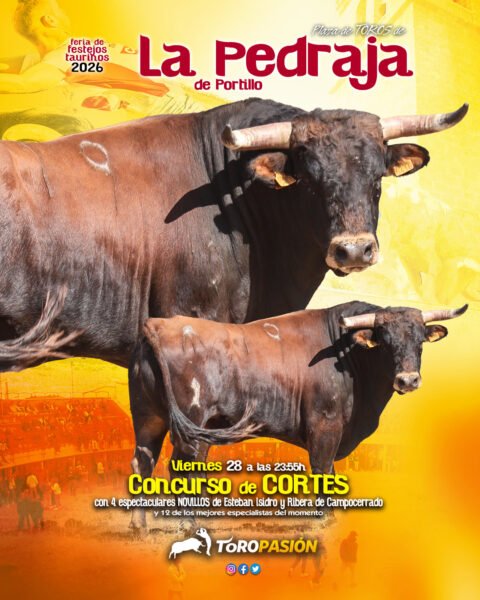 toros03