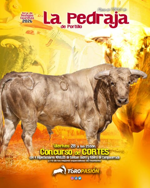 toros04