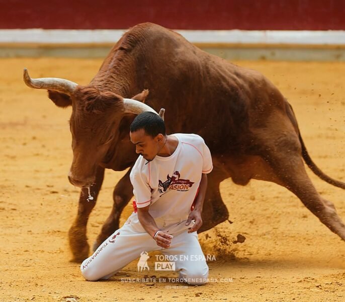 Los pelos de punta con los Maestros de la Calle y los impresionantes toros de Arriazu.