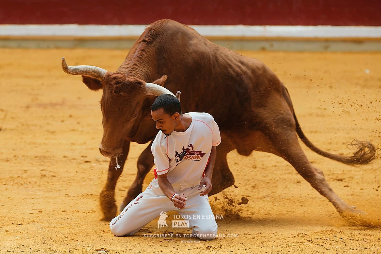 Los pelos de punta con los Maestros de la Calle y los impresionantes toros de Arriazu.