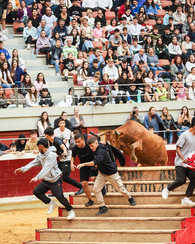 La emoción de las vaquillas congrega a cientos de jóvenes en el ruedo.