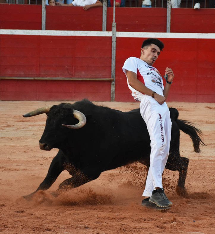 El Campeonato Nacional de recortadores de la Villa de Riaza es todo un éxito año tras año.