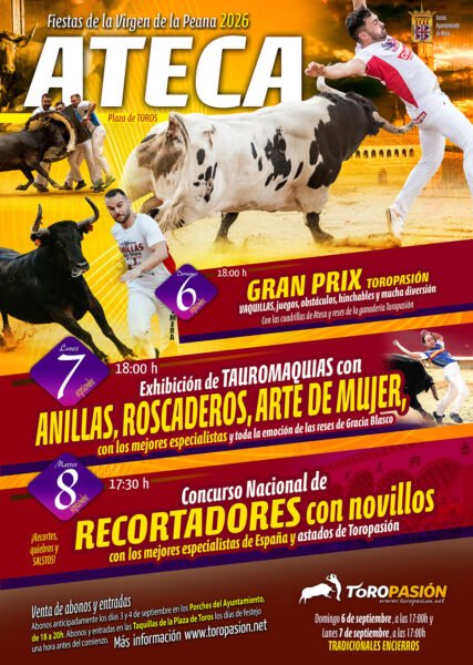 escaparate_digital_ateca_web