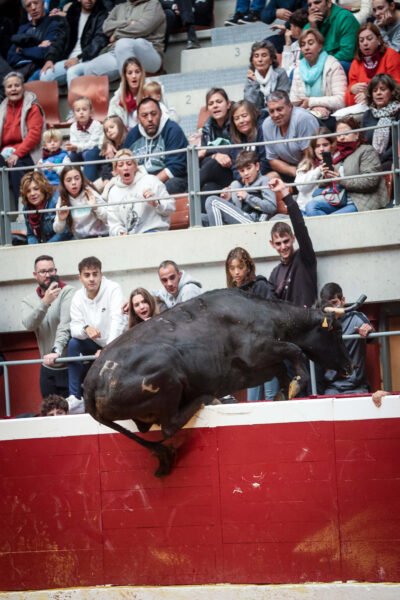 las_vaquillas_saltarinas_triunfan