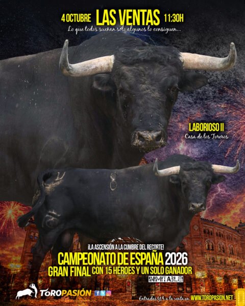 toros02