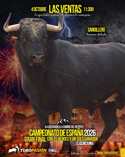 toros03
