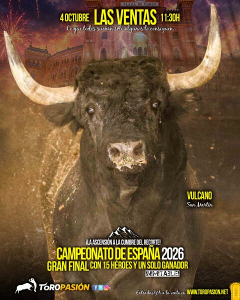 toros04