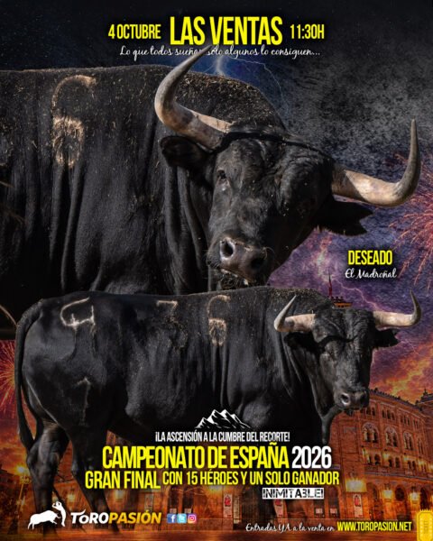 toros05