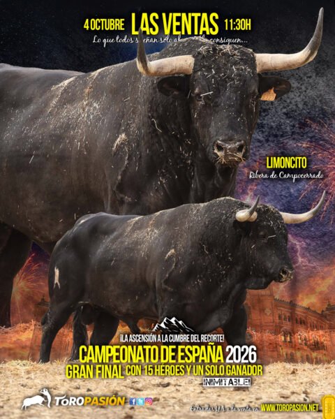 toros06