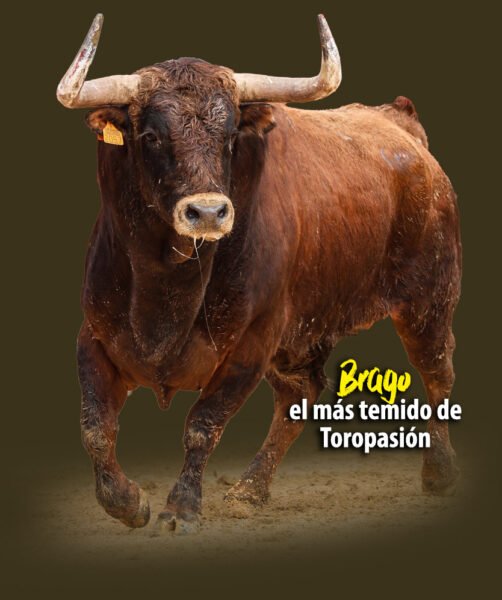 toro_web