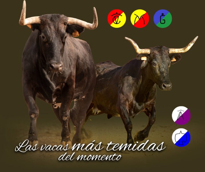 vacas_web1